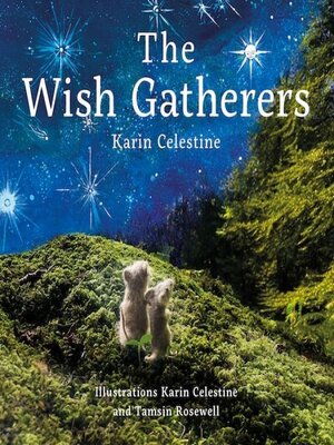 cover image of The Wish Gatherers